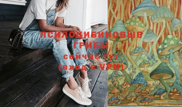 соль курить ск Карталы